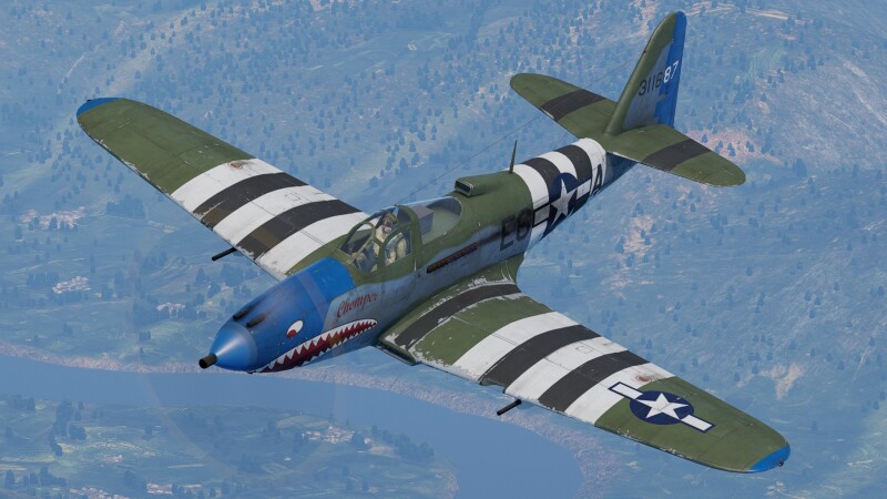 USA Plane Camo